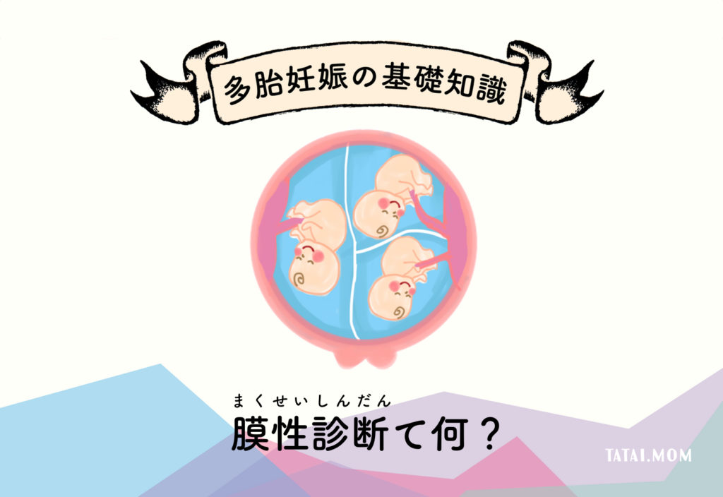 膜性診断とは？