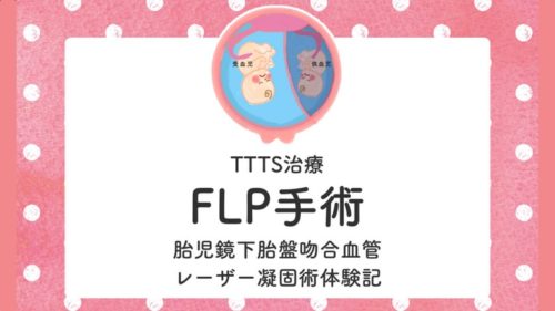 FLP　手術　TTTS 双胎官輸血症候群　体験談　経験
