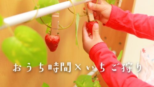 おうち時間×イチゴ狩り