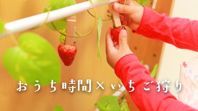 おうち時間×イチゴ狩り