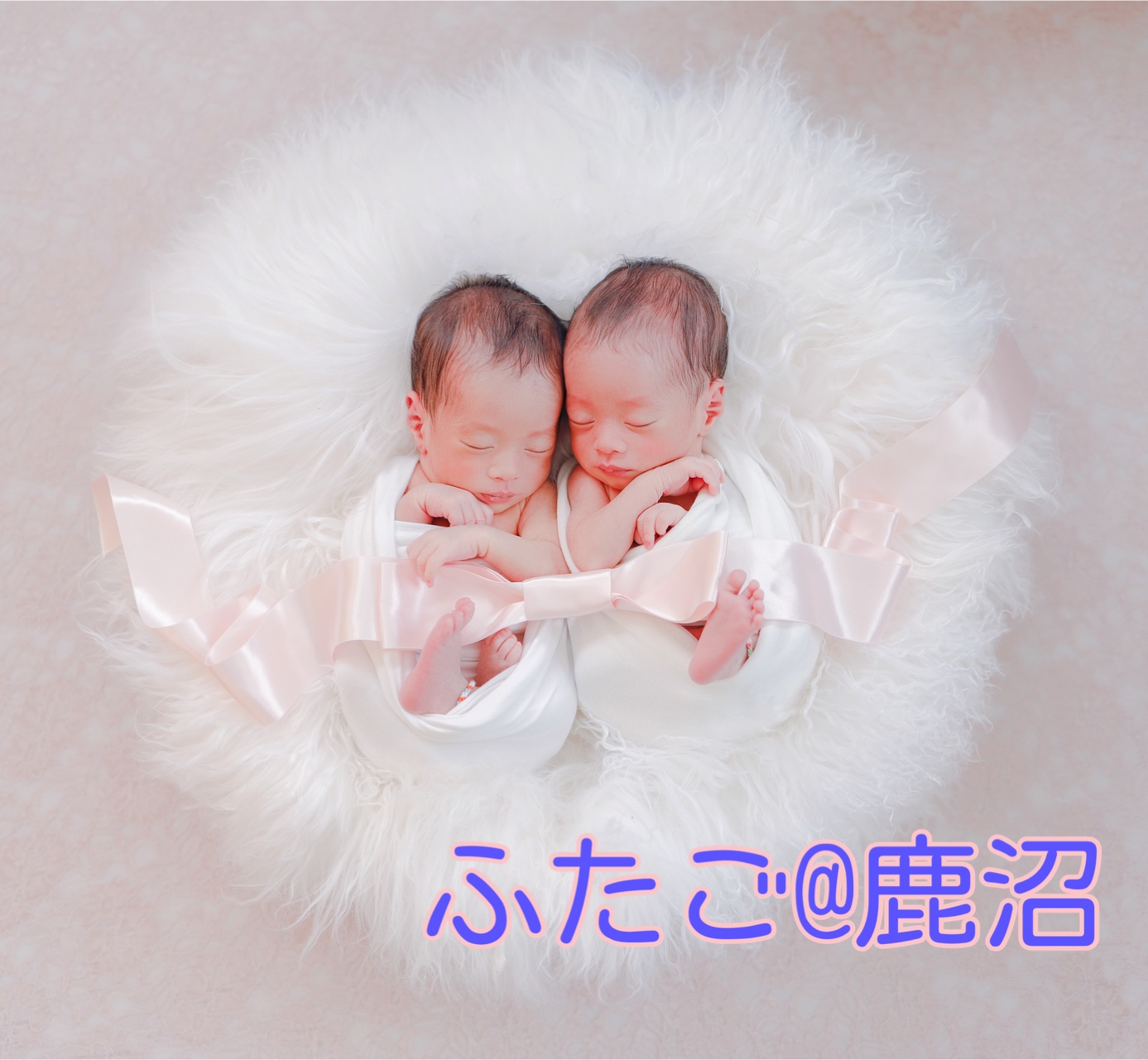 栃木県　鹿沼市　双子　サークル　多胎